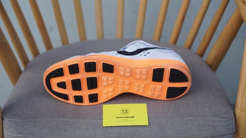 Giày thể thao Nike Lunartempo (N+) 705461-100