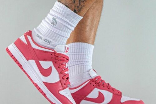 Giày Nike Dunk Low Archeo Pink (W) DD1503-111