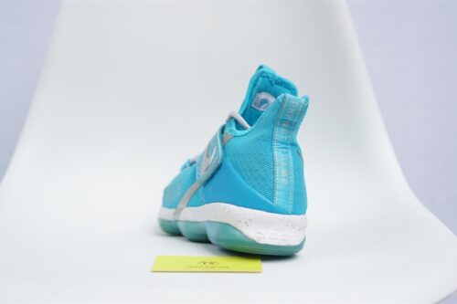 Giày Nike LeBron 14 Ric Flair (N+) AA3258-404