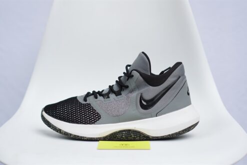 Giày Nike Precision 2 Grey (X) AA7069-011 - 43
