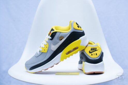 Giày Nike Air Max 90 Go the Extra Smile DQ0570-001