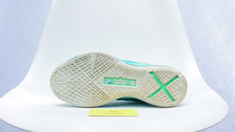 Giày Nike Lebron X "Easter" Mint (X-) 543564-303
