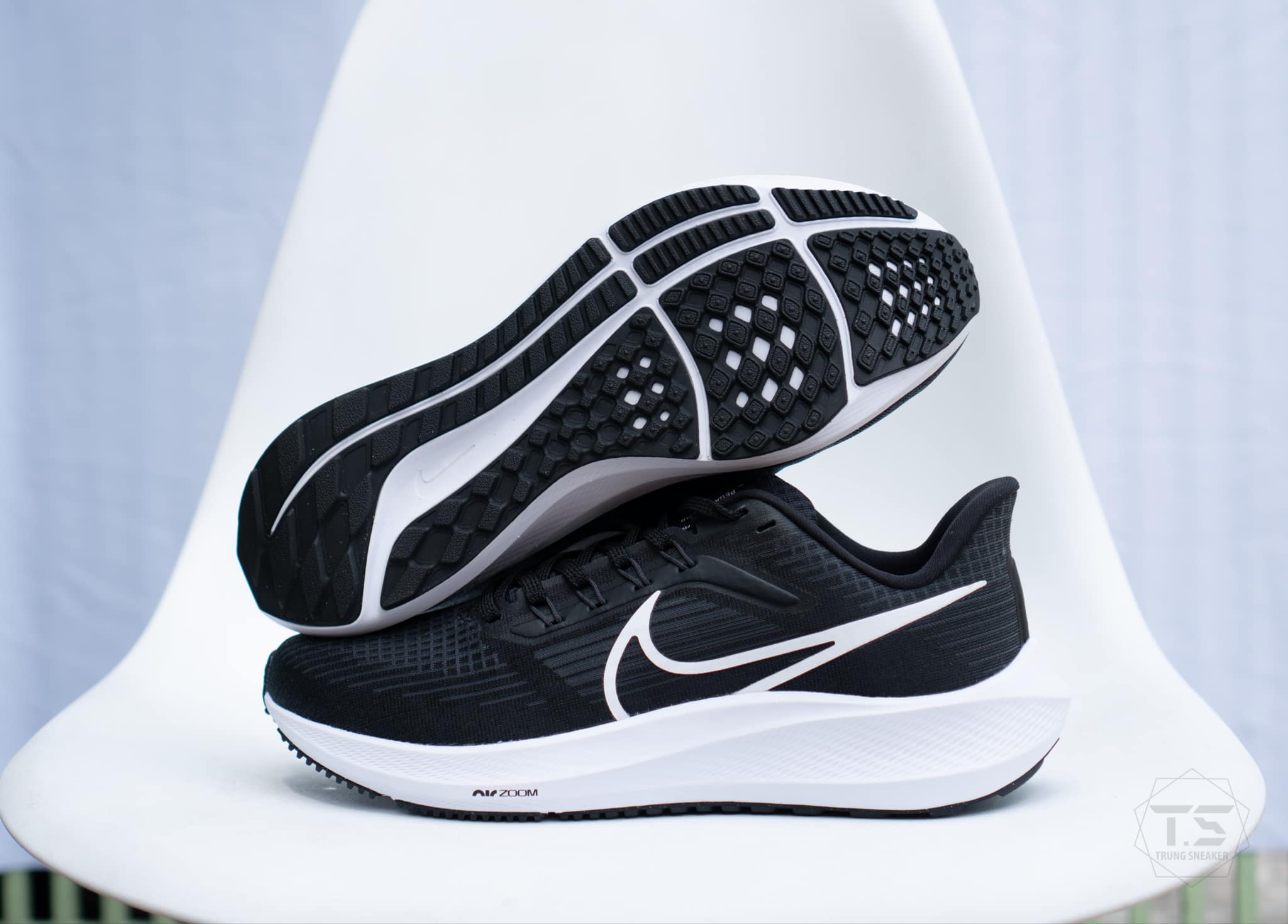 Giày Chạy Bộ Nike Zoom Pegasus 39 Black DH4071-001