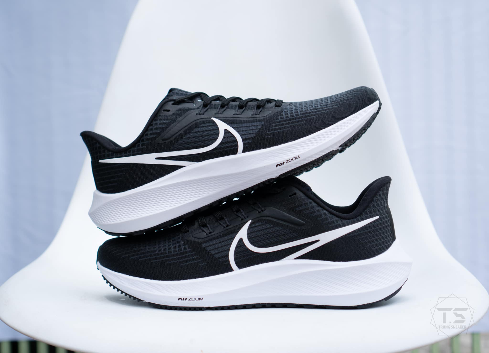 Giày Chạy Bộ Nike Zoom Pegasus 39 Black DH4071-001