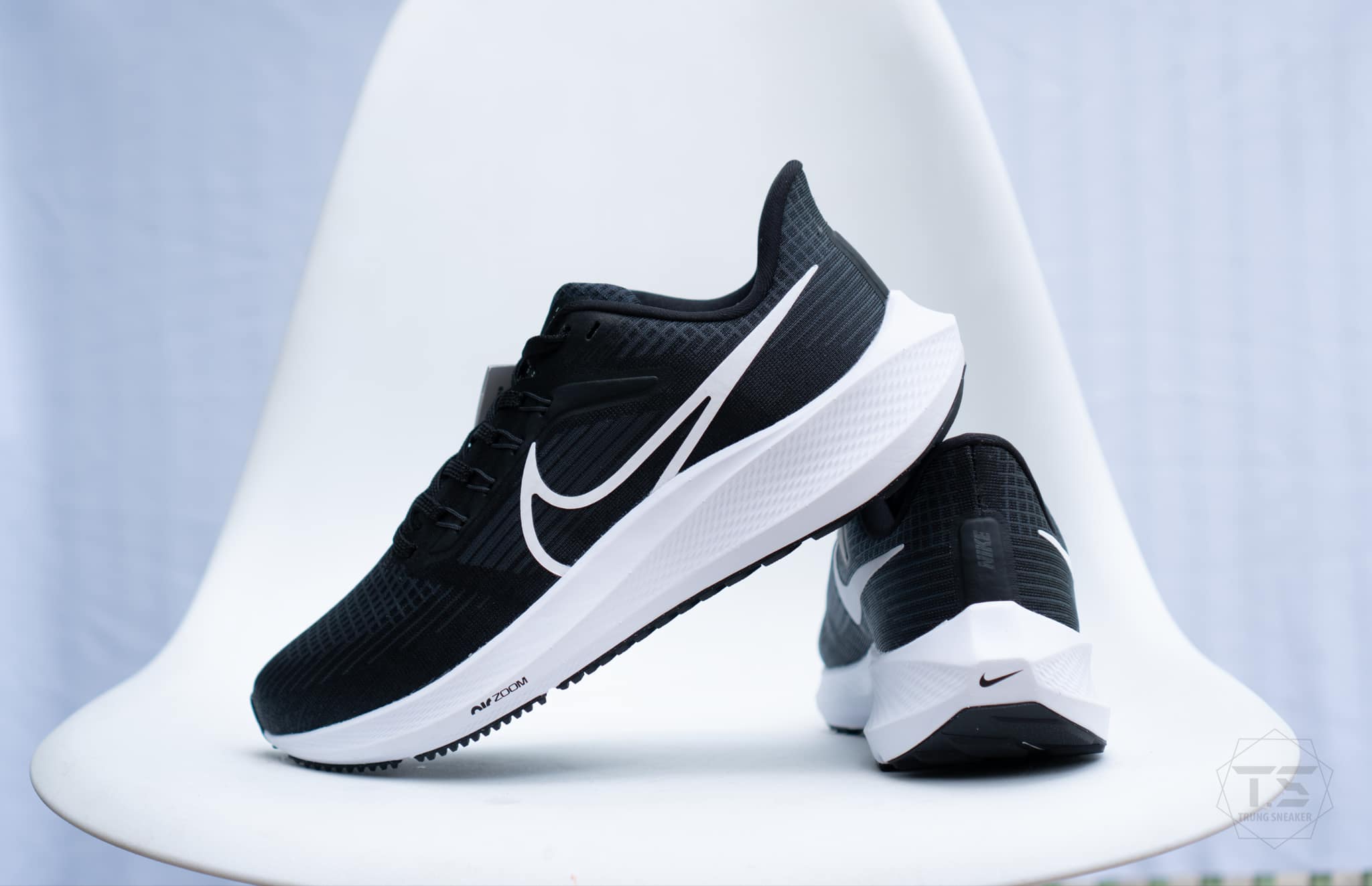 Giày Chạy Bộ Nike Zoom Pegasus 39 Black DH4071-001