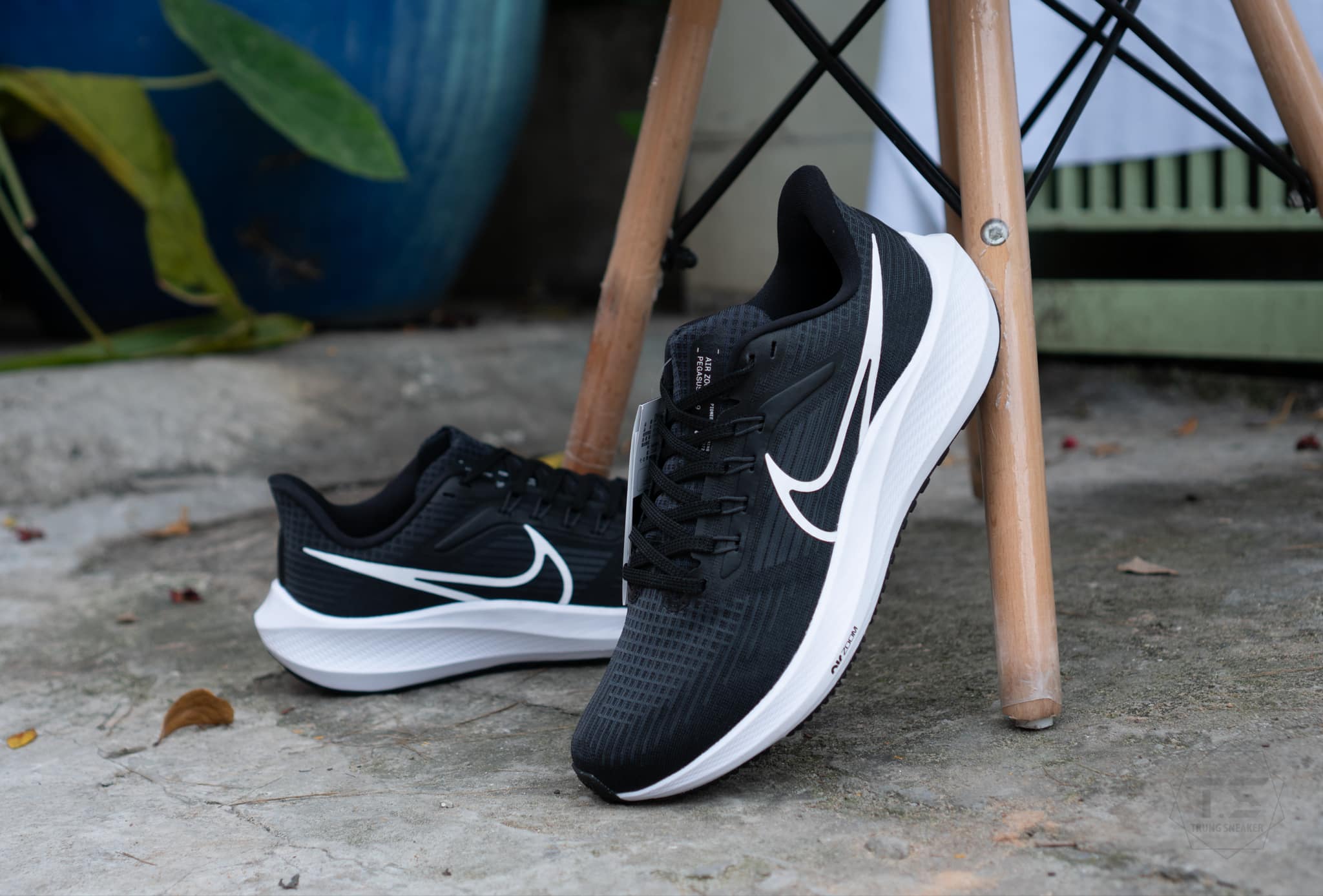 Giày Chạy Bộ Nike Zoom Pegasus 39 Black DH4071-001