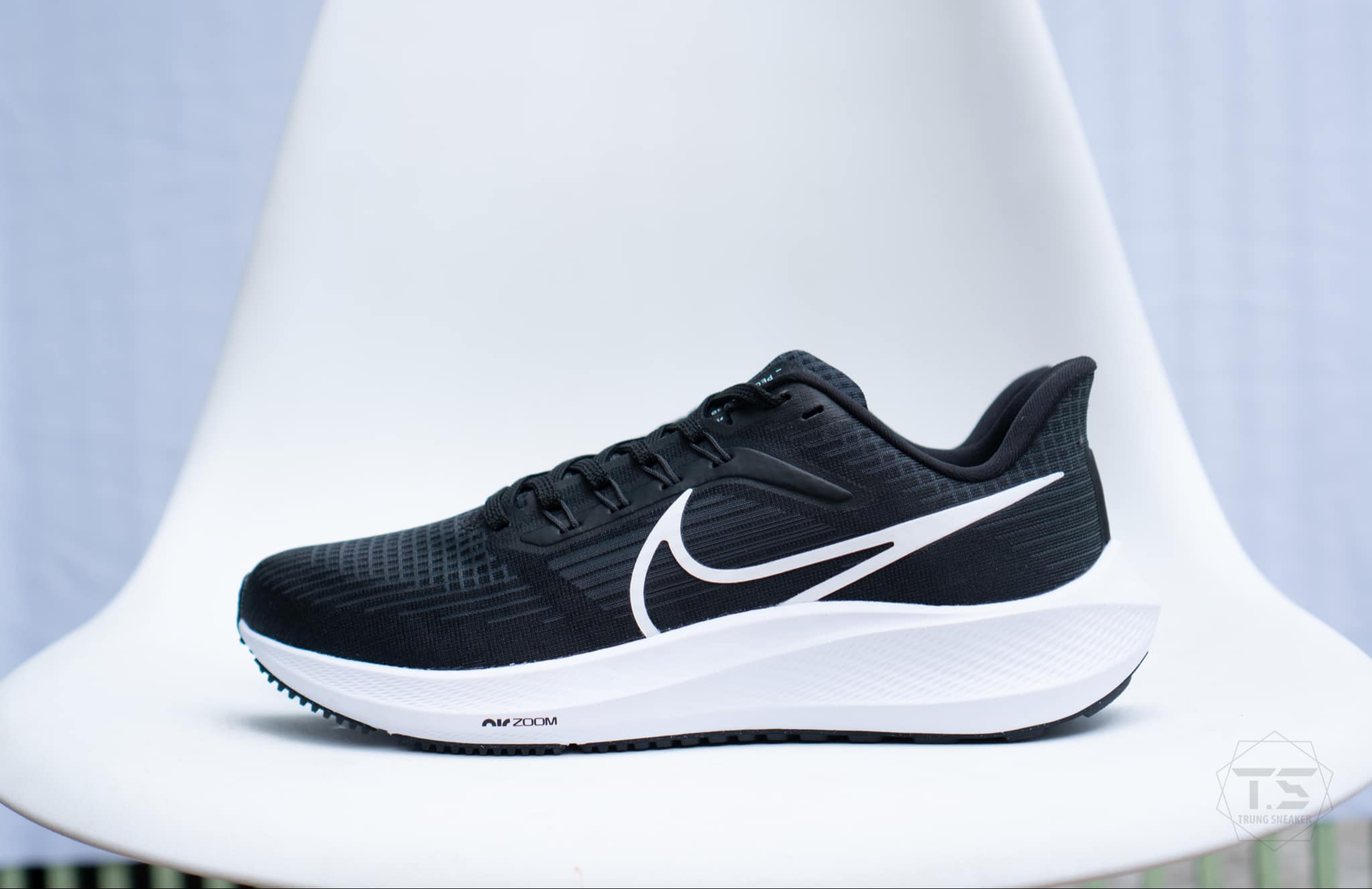 Giày Chạy Bộ Nike Zoom Pegasus 39 Black DH4071-001