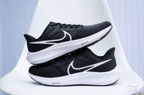 Giày Chạy Bộ Nike Zoom Pegasus 39 Black DH4071-001