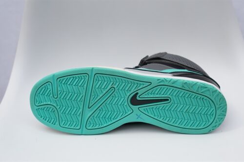 Giày Nike Air Zoom Mogan Black (X) 407360-025