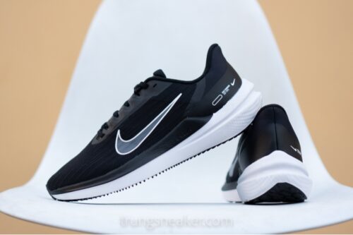 Giày chạy bộ Nike Air Winflo 9 Black DD6203-001
