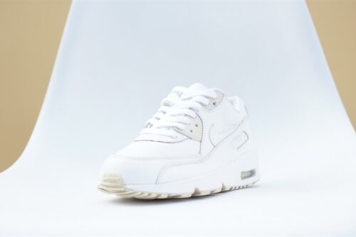 Giày Nike Air Max 90 'White' 833412-100 2hand