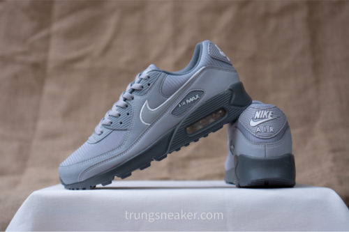 Giày Nike Air Max 90 Wolf Grey FJ4218-002 - 42.5