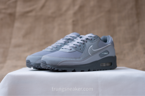 Giày Nike Air Max 90 Wolf Grey FJ4218-002 - 42.5