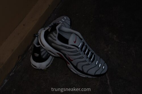 Giày Nike Air Max Plus Photon Dust Varsity Red DM0032-002 - 43