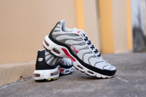Giày Nike Air Max Plus Photon Dust Varsity Red DM0032-002 - 43