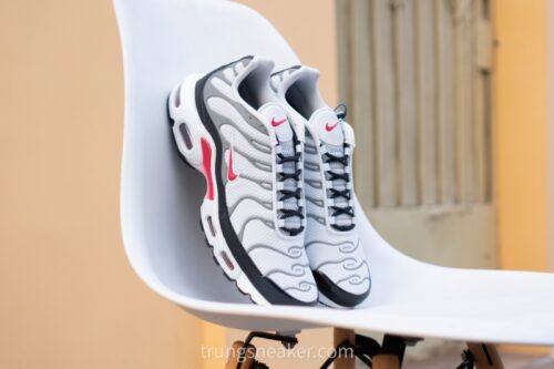 Giày Nike Air Max Plus Photon Dust Varsity Red DM0032-002 - 43