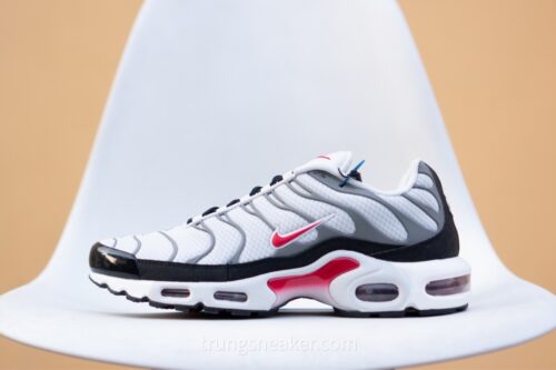 Giày Nike Air Max Plus Photon Dust Varsity Red DM0032-002 - 43