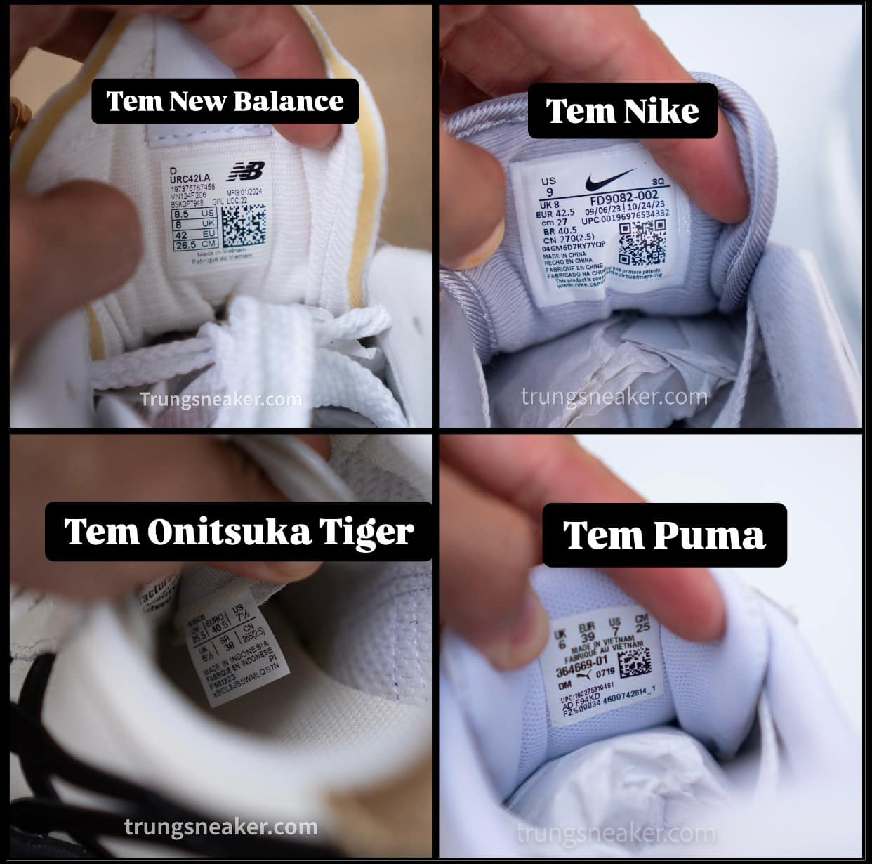 sneakerhead la gi tim hieu ve van hoa suu tam giay 4
