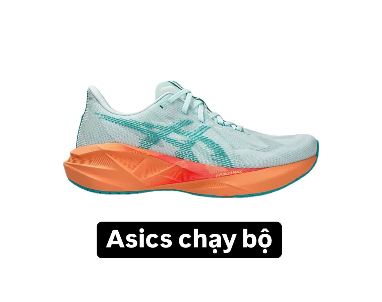 Elementor Products Archive #258418