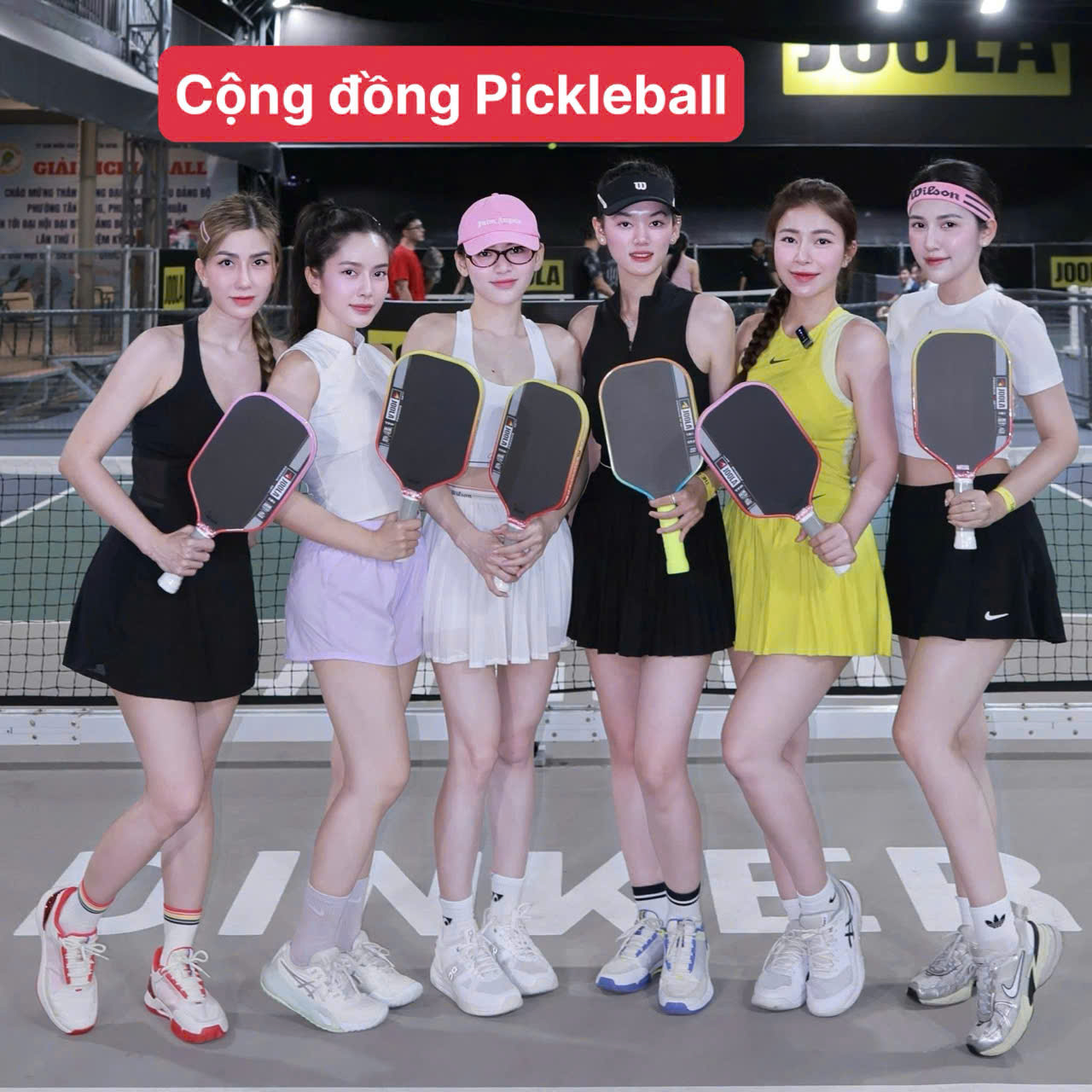 lich su hinh thanh va phat trien cua mon pickleball tren the gioi va tai viet nam 2