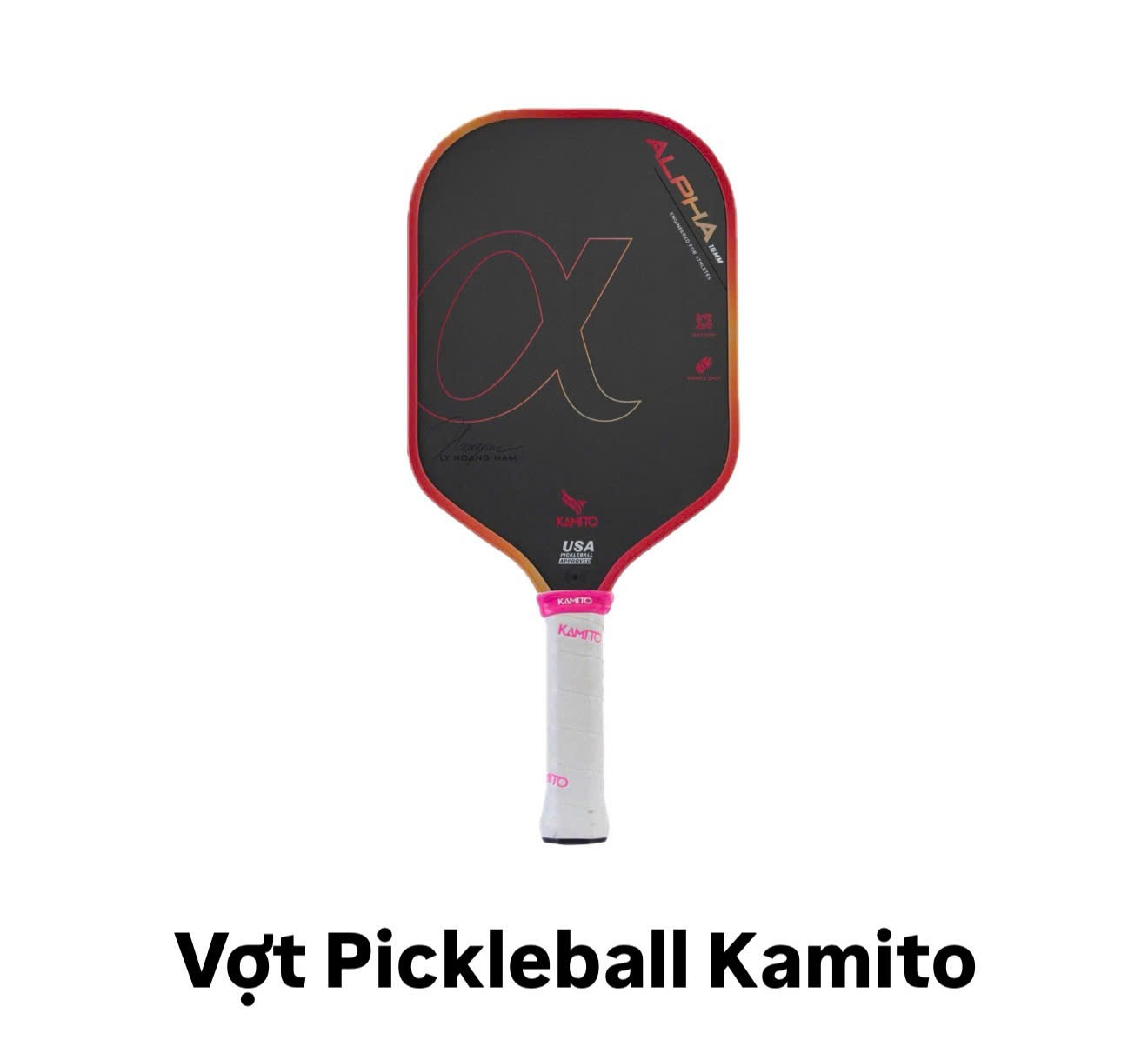 Vợt Pickleball