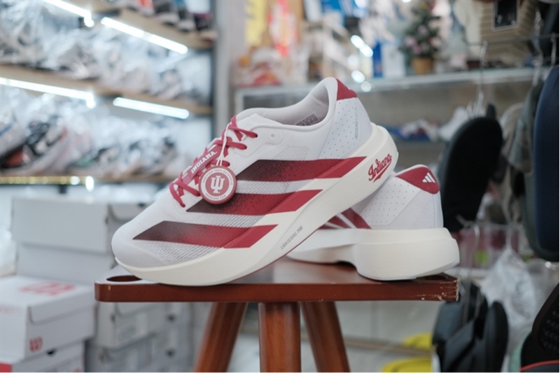Giày chạy bộ Adidas Adizero Evo SL Indiana JQ4576