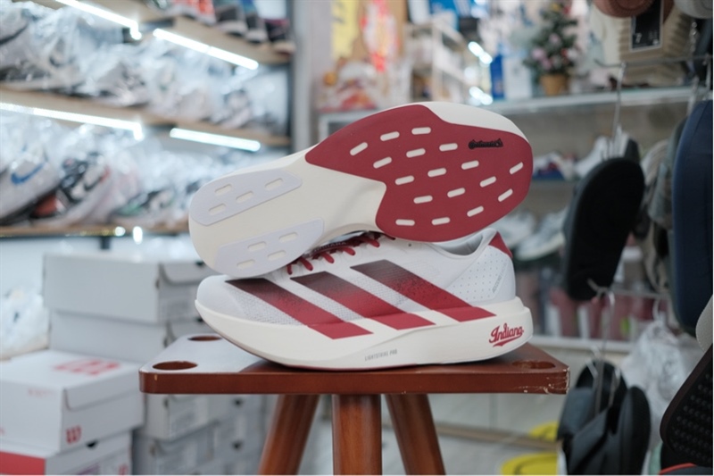 Giày chạy bộ Adidas Adizero Evo SL Indiana JQ4576
