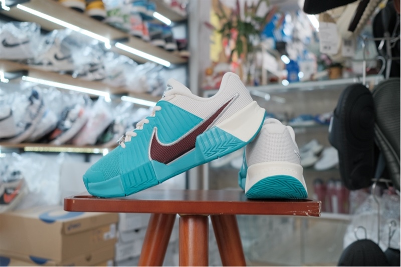 Giày Pickleball Tennis Nike Challenge Pro HC PRM HJ6647-300