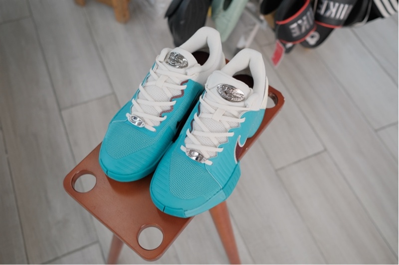 Giày Pickleball Tennis Nike Challenge Pro HC PRM HJ6647-300