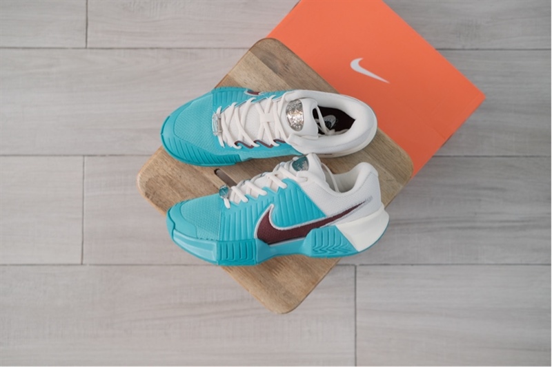 Giày Pickleball Tennis Nike Challenge Pro HC PRM HJ6647-300