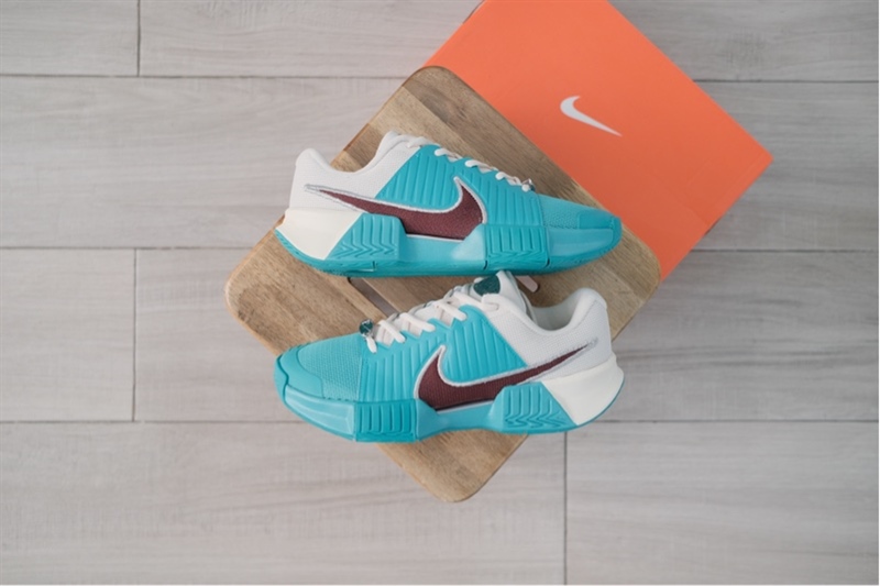 Giày Pickleball Tennis Nike Challenge Pro HC PRM HJ6647-300