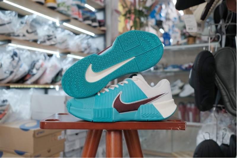 Giày Pickleball Tennis Nike Challenge Pro HC PRM HJ6647-300