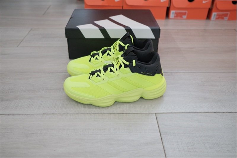 Giày thể thao Indoor Adidas Courtstabil Neon JP7271