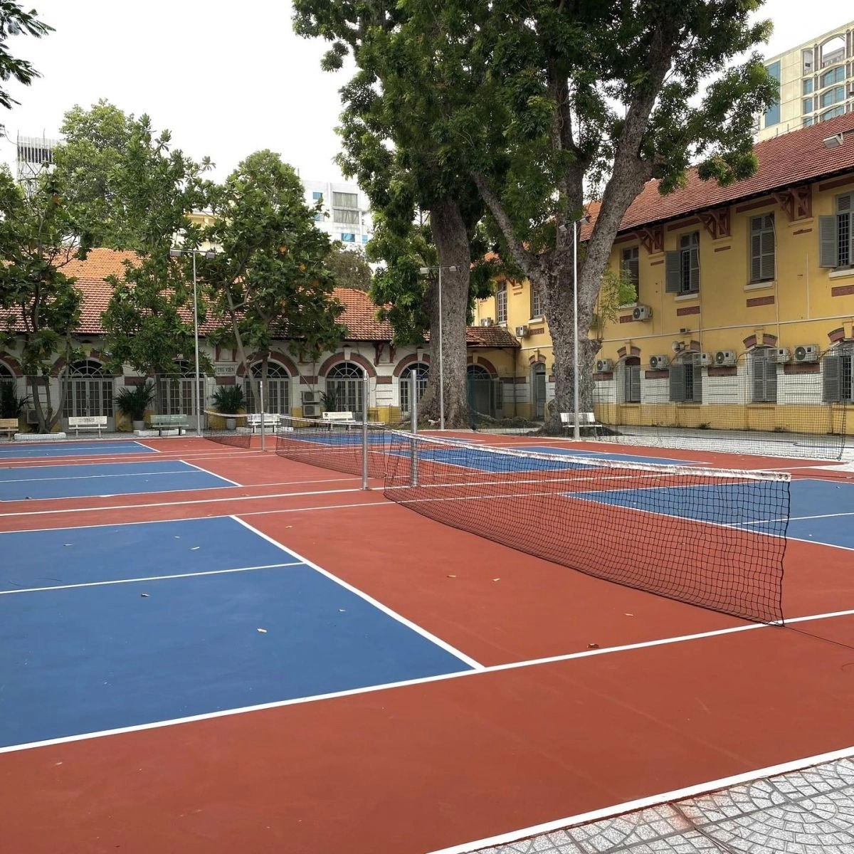 Top 5+ Sân Pickleball Quận 3: Giá Rẻ, Có Mái Che, Đặt Lịch Nhanh 1 san pickleball gym one 2 1727052