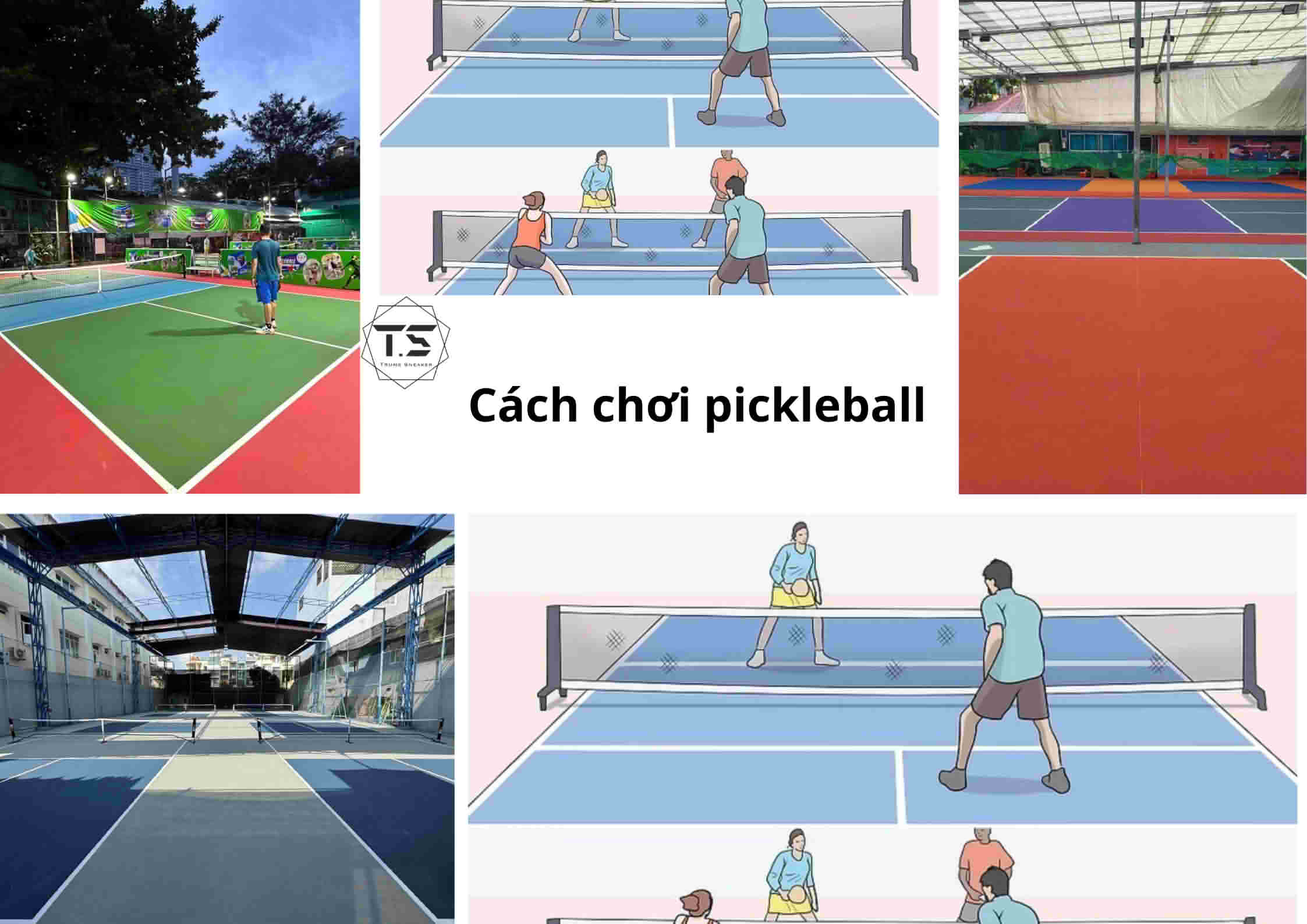Cách Chơi Pickleball Từ A-Z: Hướng Dẫn Nhanh Cho Người Mới Bắt Đầu