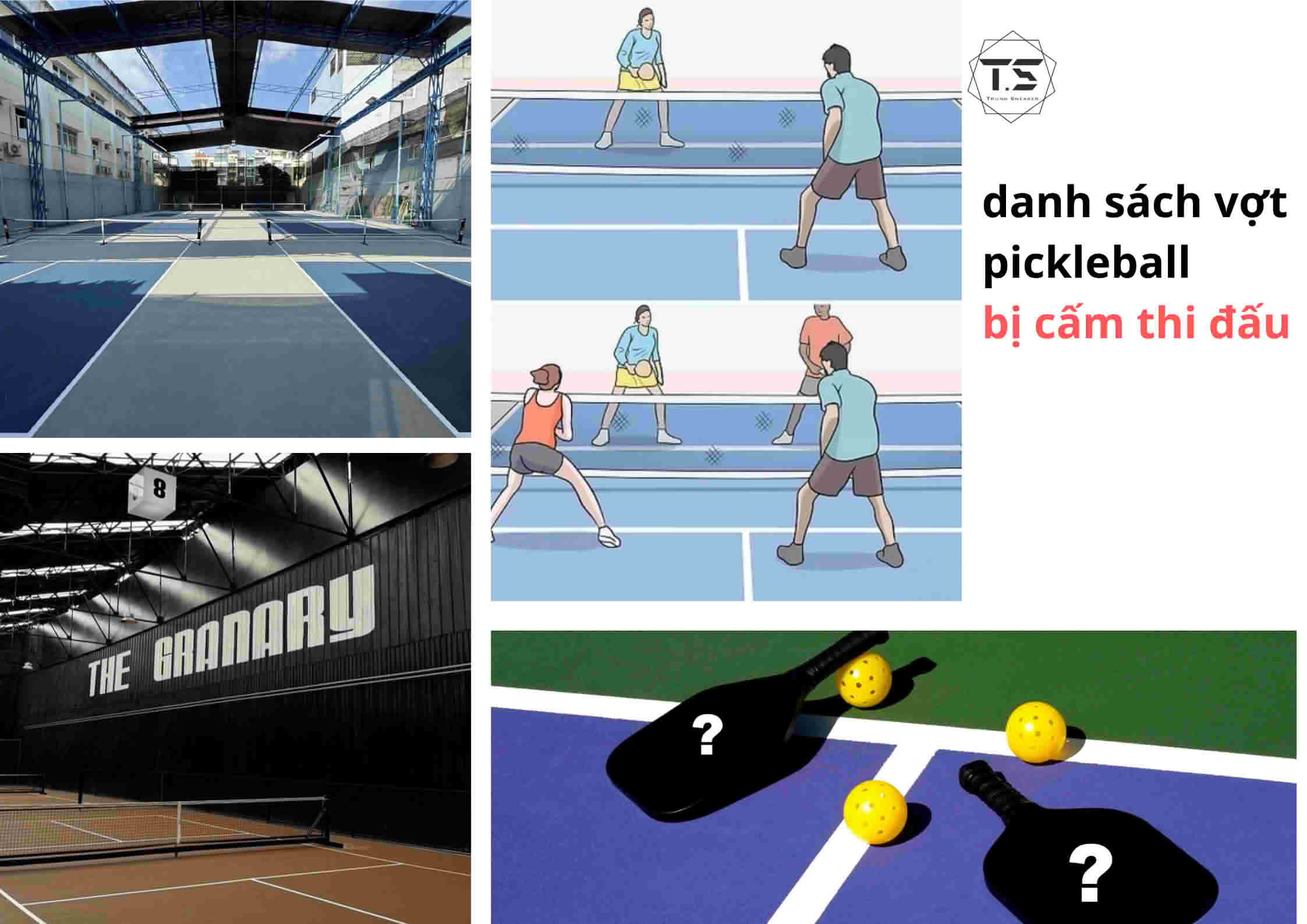 Danh Sách Vợt Pickleball Bị Cấm Thi Đấu (Cập Nhật Mới Nhất)